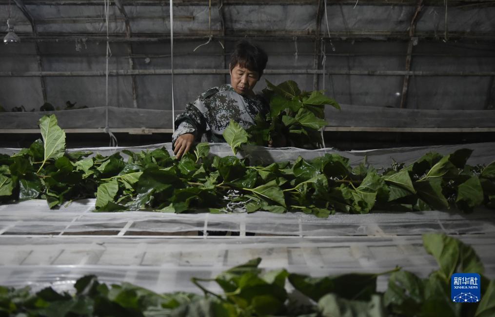 永利银河登录
